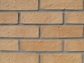 Brick 13